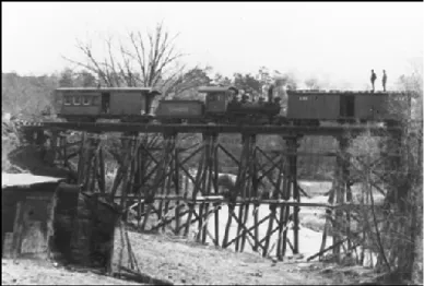 Dummy Crossing Treetle (1)